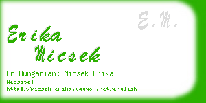 erika micsek business card